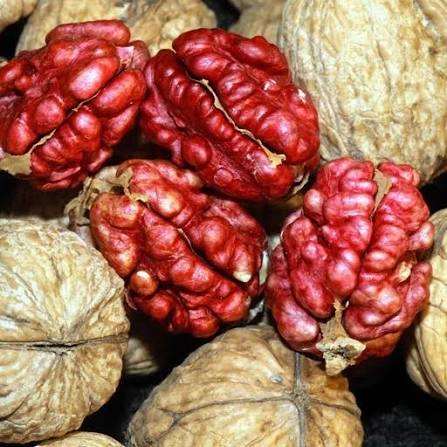مغز گردو قرمز خوش طعم از ارقام مرغوب ایرانی